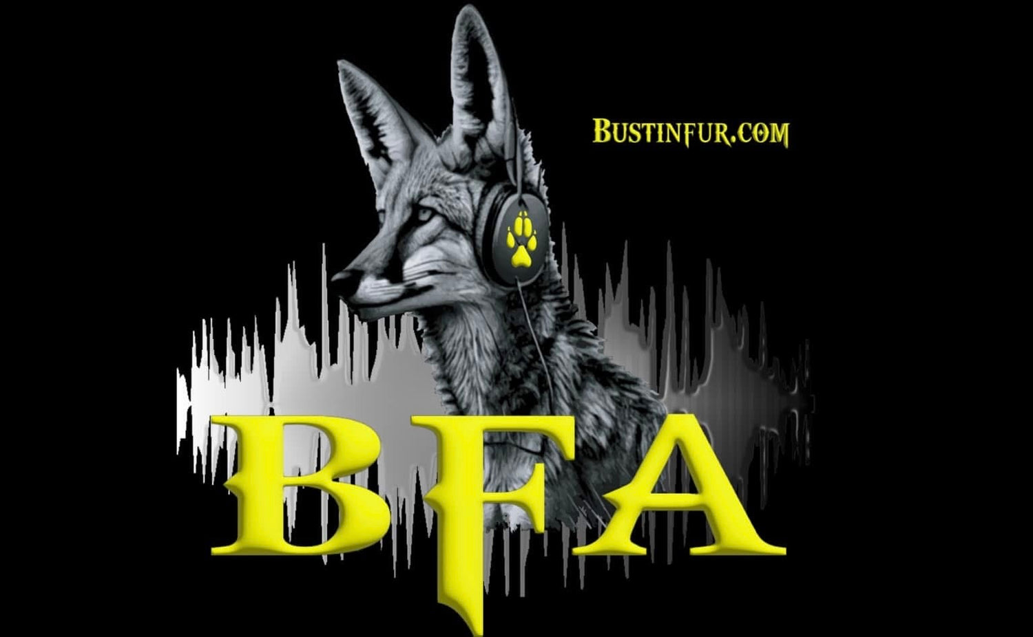 ICOtec OUTLAW+ BFA Edition***