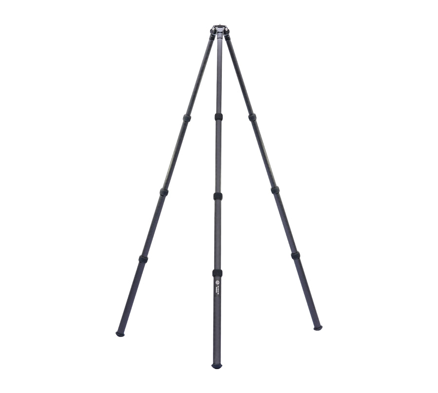 Twovets No Name V2 Inverted