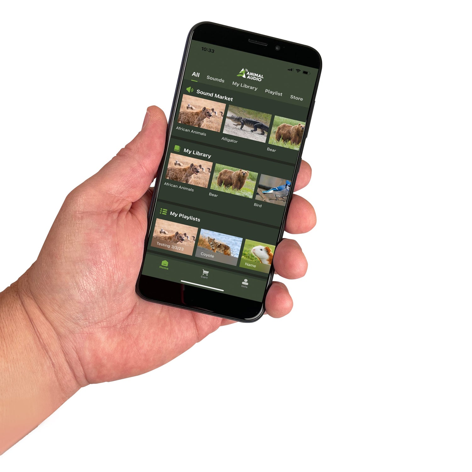 ICOtec OUTLAW+ BFA Edition***